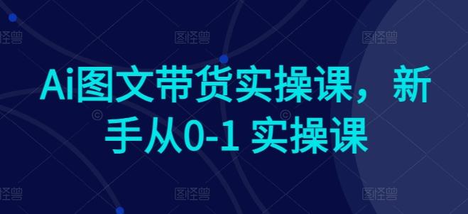 Ai图文带货实操课，新手从0-1 实操课-E网资源
