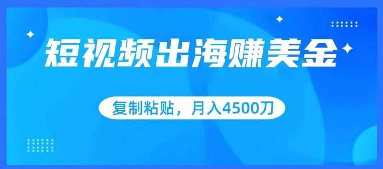 短视频出海赚美金，复制粘贴批量操作，小白轻松掌握，月入4500美刀【揭秘】-E网资源