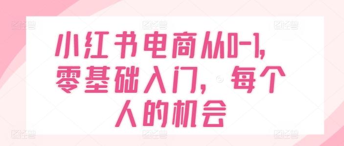 小红书电商从0-1，零基础入门，每个人的机会-E网资源