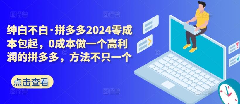 拼多多2024零成本包起，0成本做一个高利润的拼多多，方法不只一个-E网资源