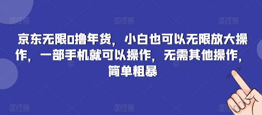 京东无限0撸年货，小白也可以无限放大操作，一部手机就可以操作，无需其他操作，简单粗暴-E网资源