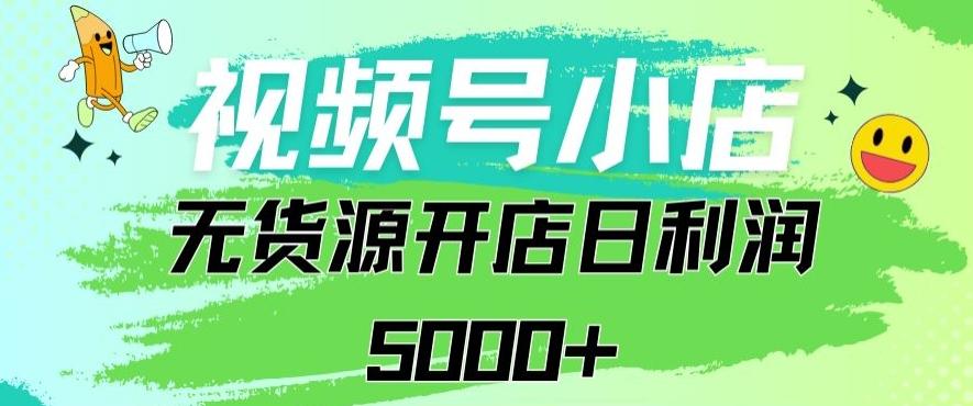 视频号无货源小店从0到1日订单量千单以上纯利润稳稳5000+【揭秘】-E网资源