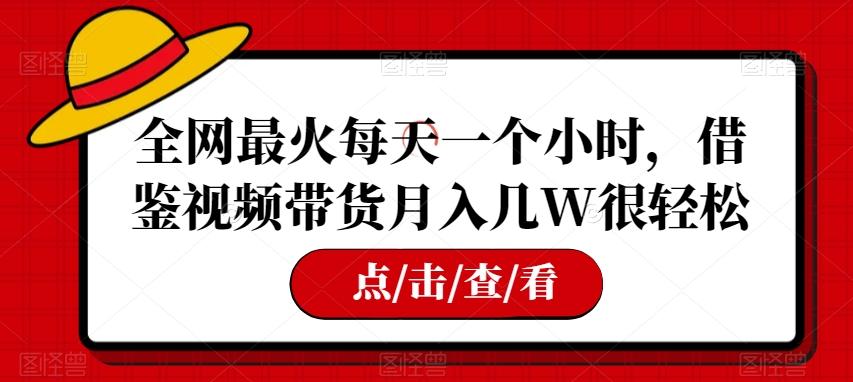 全网最火每天一个小时，借鉴视频带货月入几W很轻松【揭秘】-E网资源