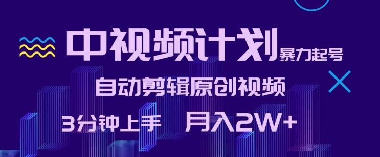 中视频计划暴力起号，自动剪辑原创视频，3分钟上手，月入2W+【揭秘】-E网资源