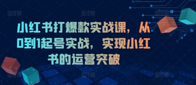 小红书打爆款实战课，从0到1起号实战，实现小红书的运营突破-E网资源