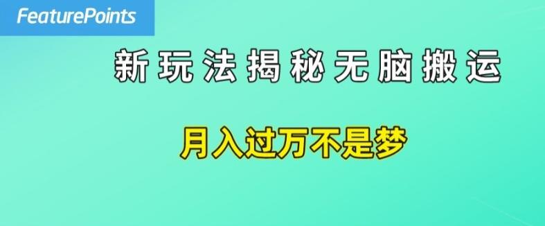 简单操作，每天50美元收入，搬运就是赚钱的秘诀【揭秘】-E网资源