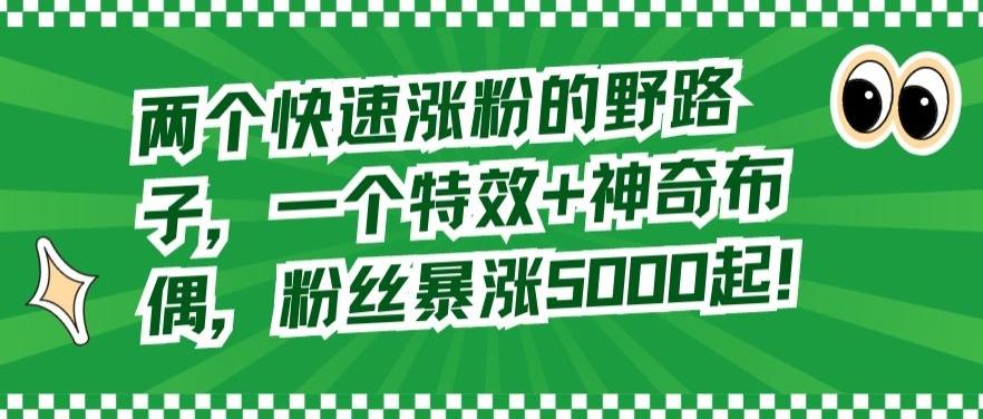 两个快速涨粉的野路子，一个特效+神奇布偶，粉丝暴涨5000起【揭秘】-E网资源