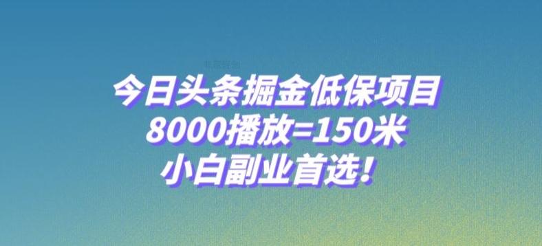 今日头条掘金低保项目，8000播放=150米，小白副业首选【揭秘】-E网资源
