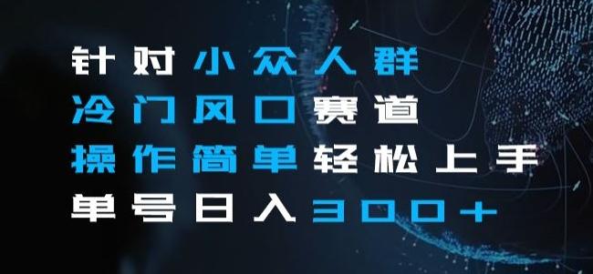 针对小众人群冷门风口赛道，操作简单轻松上手单号日入300+-E网资源