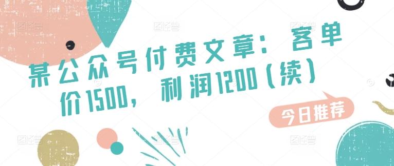 某公众号付费文章：客单价1500，利润1200(续)，市场几乎可以说是空白的-E网资源