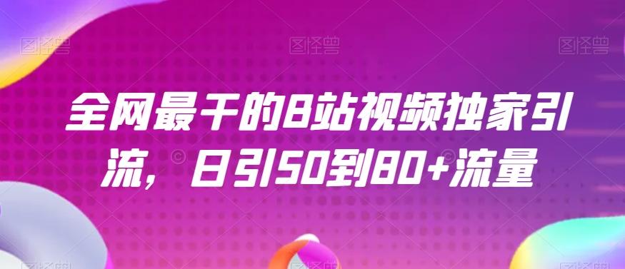 全网最干的B站视频独家引流，日引50到80+流量【揭秘】-E网资源