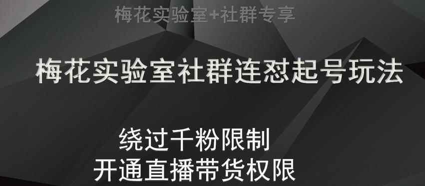 梅花实验室社群连怼起号玩法，视频号绕过千粉限制，开通直播带货权限【揭秘】-E网资源