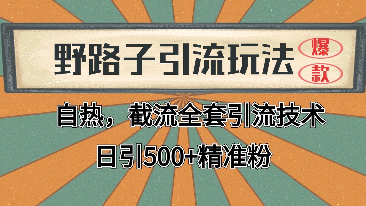 抖音小红书视频号全平台引流打法，全自动引流日引2000+精准客户-E网资源