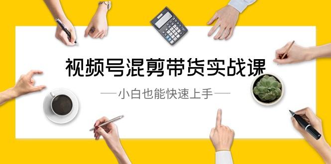 视频号混剪带货实战课，小白也能快速上手（10节课）-E网资源