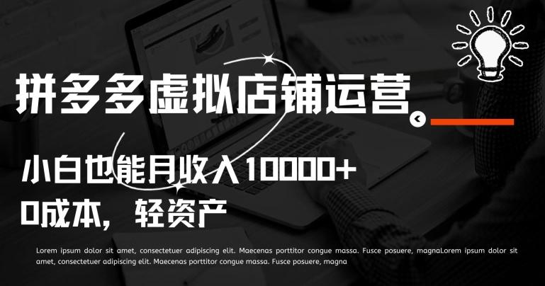 拼多多虚拟店铺运营小白也能月收入10000+【揭秘】-E网资源