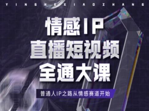 情感IP直播短视频全通大课，普通人IP之路从情感赛道开始-E网资源