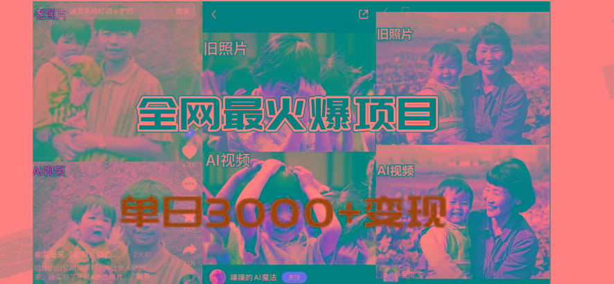 全网爆火的AI让老照片动起来教程，蹭热点日赚3000+，内含免费工具一键…-E网资源