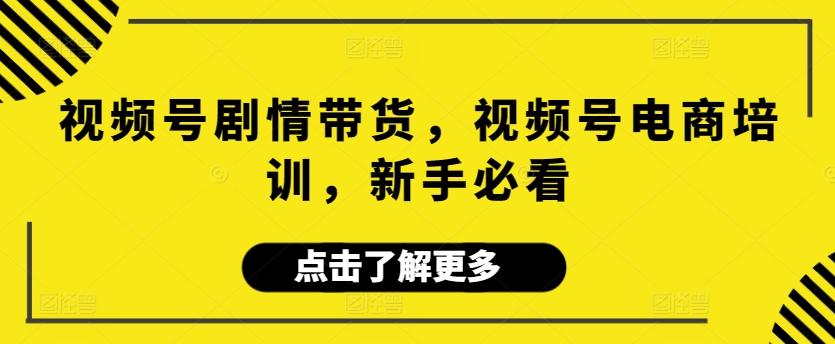 视频号剧情带货，视频号电商培训，新手必看-E网资源