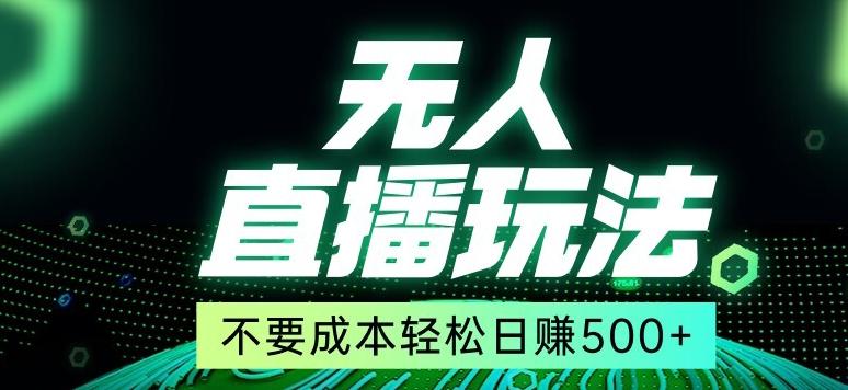 全网首发24年最新无人直播玩法，不需要成本，无需人力，一台电脑24小时为你工作-E网资源