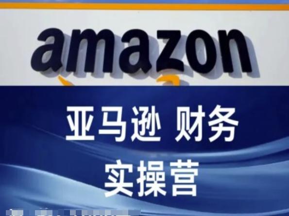 亚马逊财务核算实操营-亚马逊跨境电商教程-E网资源