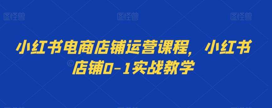 小红书电商店铺运营课程，小红书店铺0-1实战教学-E网资源