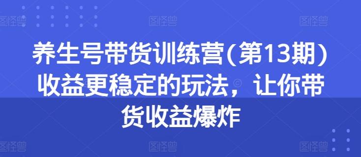 养生号带货训练营(第13期)收益更稳定的玩法，让你带货收益爆炸-E网资源
