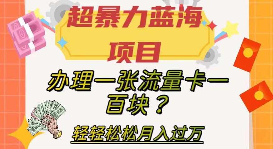 超暴力蓝海项目，办理一张流量卡一百块？轻轻松松月入过万，保姆级教程【揭秘】-E网资源