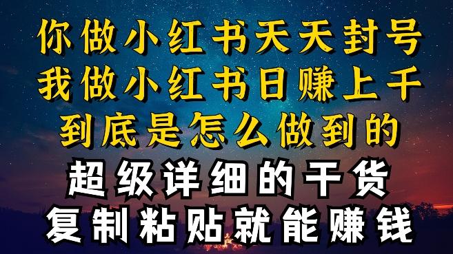 都知道小红书能引流私域变现，可为什么我能一天引流几十人变现上千，但你却频频封号违规被限流【揭秘】-E网资源