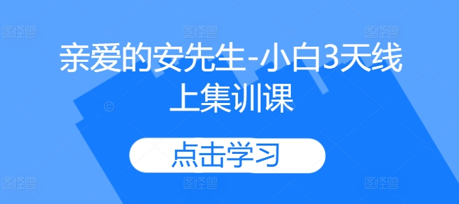 亲爱的安先生-小白3天线上集训课-E网资源