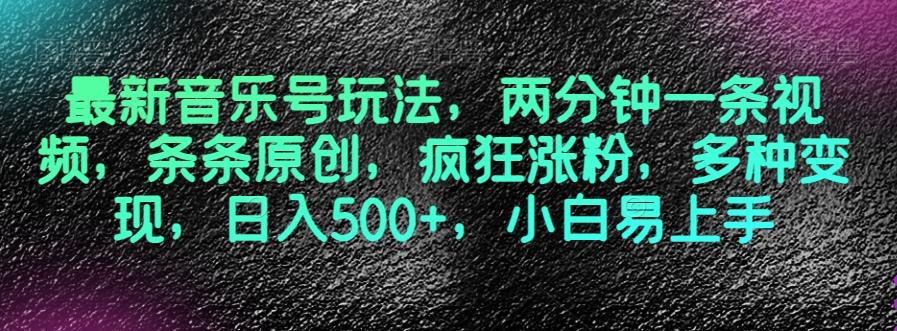 最新音乐号玩法，两分钟一条视频，条条原创，疯狂涨粉，多种变现，日入500+，小白易上手【揭秘】-E网资源
