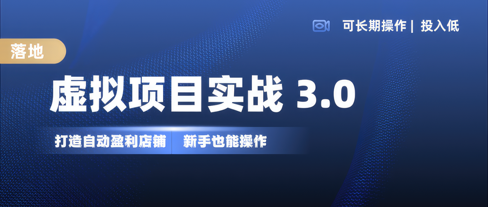 虚拟项目实操落地 3.0,新手轻松上手，单品月入1W+-E网资源