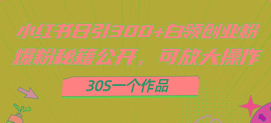 小红书日引300+高质白领创业粉，可放大操作，爆粉秘籍！30s一个作品-E网资源