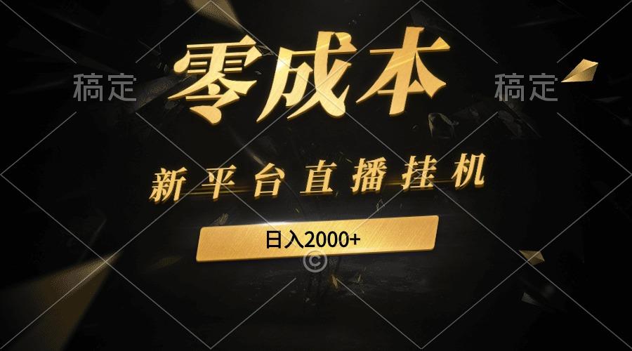 (9841期)新平台直播挂机最新玩法，0成本，不违规，日入2000+-E网资源