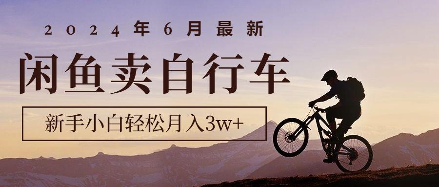 2024年6月最新闲鱼卖自行车，新手小白轻松月入3w+项目-E网资源