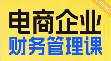 电商企业财务管理线上课，为电商企业规划财税-E网资源