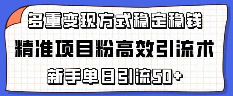 精准项目粉高效引流术，新手单日引流50+，多重变现方式稳定赚钱【揭秘】-E网资源