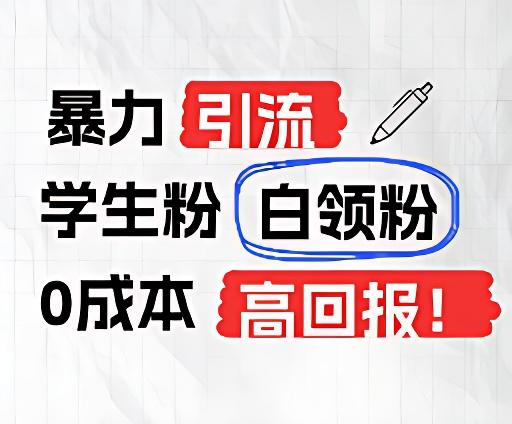 暴力引流学生粉白领粉，吊打以往垃圾玩法，0成本，高回报-E网资源
