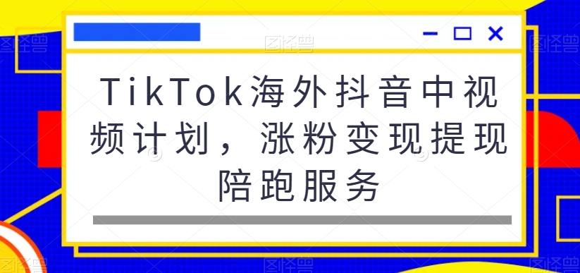 TikTok海外抖音中视频计划，涨粉变现提现陪跑服务-E网资源