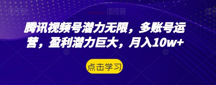 腾讯视频号潜力无限，多账号运营，盈利潜力巨大，月入10w+-E网资源