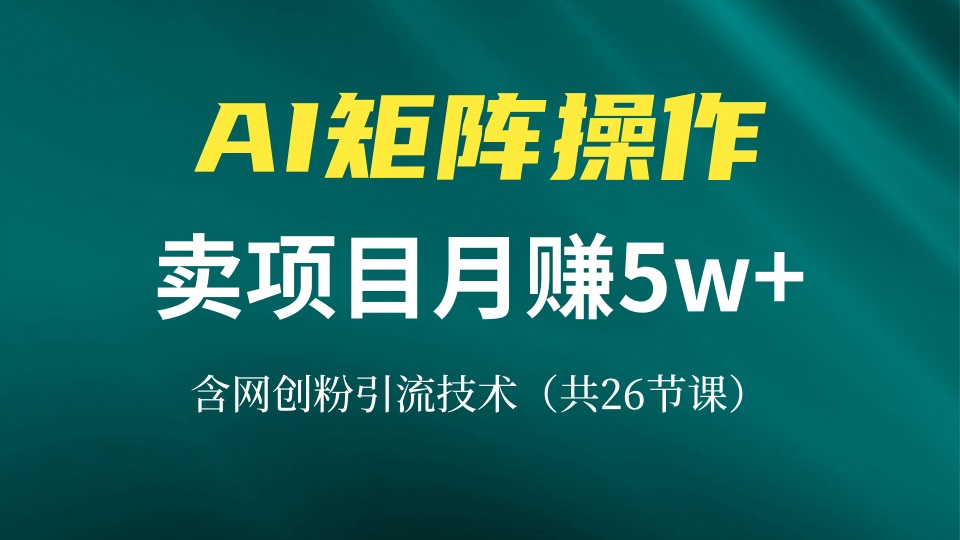 网创IP打造课，借助AI卖项目月赚5万+，含引流技术(共26节课-E网资源