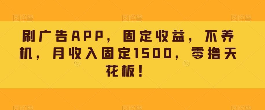 刷广告APP，固定收益，不养机，月收入固定1500，零撸天花板！-E网资源