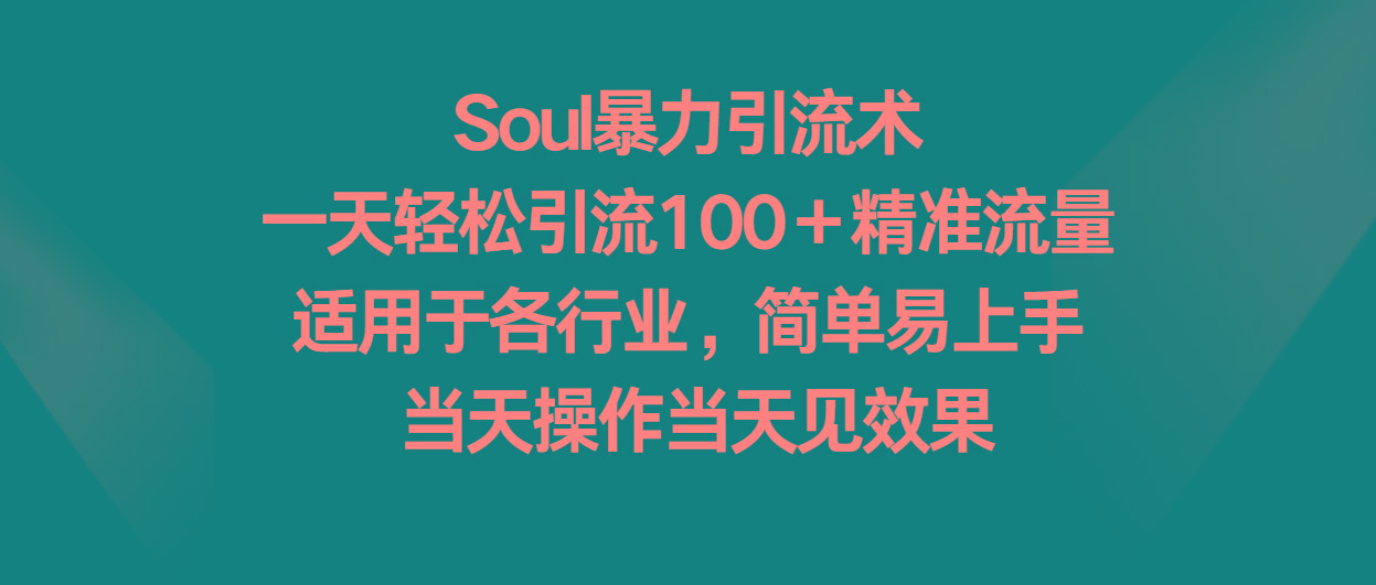Soul暴力引流术，一天轻松引流100＋精准流量，适用于各行业，简单易上手！-E网资源