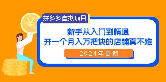(9744期)拼多多虚拟项目：入门到精通，开一个月入万把块的店铺 真不难(24年更新)-E网资源