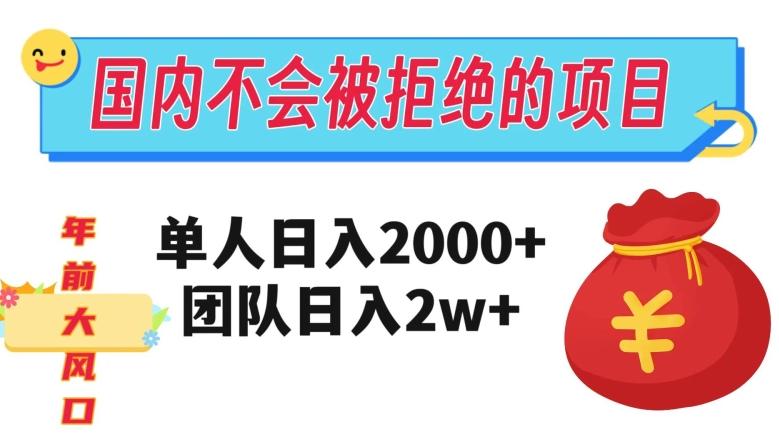 在国内不怕被拒绝的项目，单人日入2000，团队日入20000+【揭秘】-E网资源