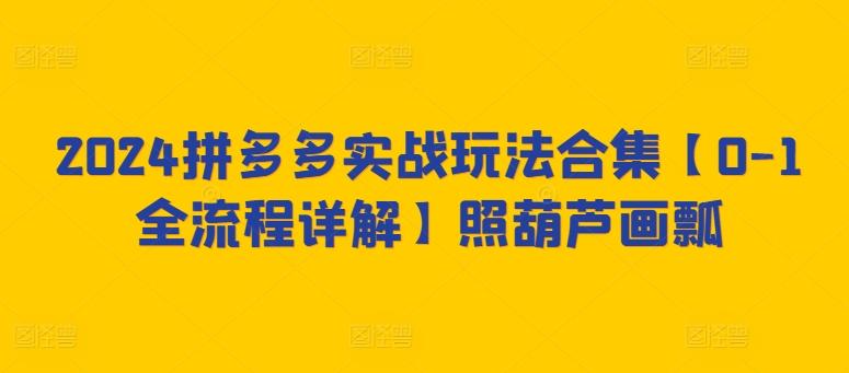 2024拼多多实战玩法合集【0-1全流程详解】照葫芦画瓢-E网资源