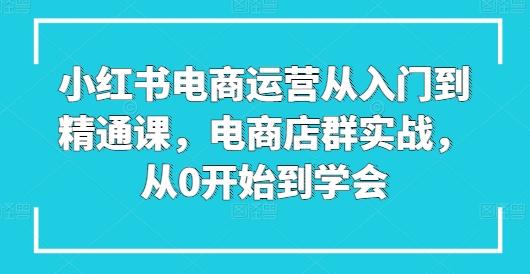 小红书电商运营从入门到精通课，电商店群实战，从0开始到学会-E网资源