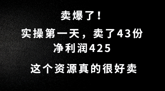 这个资源，需求很大，实操第一天卖了43份，净利润425【揭秘】-E网资源