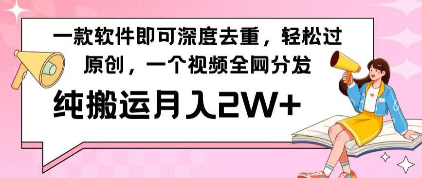 一款软件深度去重，轻松过原创，一个视频全网分发，纯搬运月入2W+-E网资源