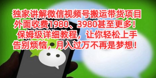 独家讲解微信视频号搬运带货项目，保姆级详细教程-E网资源