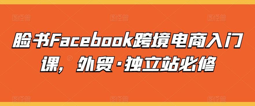 脸书Facebook跨境电商入门课，外贸·独立站必修-E网资源